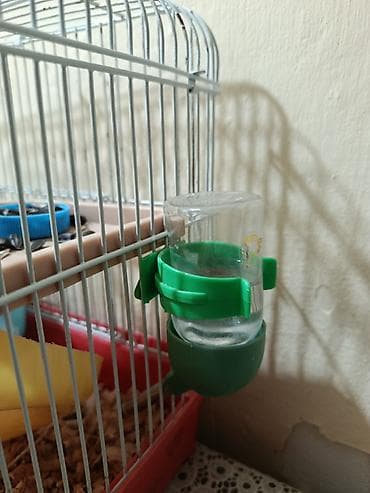 ucuz colpalar: Ürünün təsviri: - Hamster və qəfəs dəsti - Kiçik ölçülü, ağ-boz rəngli — 3