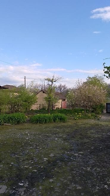 mingecevir torpaq: 20 sot, Kənd təsərrüfatı, Mülkiyyətçi, Kupça (Çıxarış) — 2