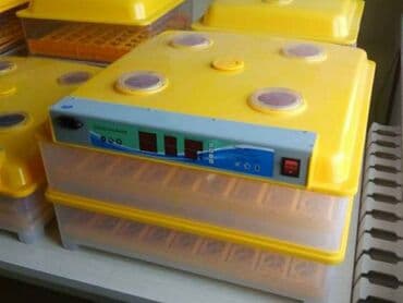 sud şağan aparat: Çin, Fabrik istehsalı, Tam avtomat, Bütün növ quşlaq üçün — 2