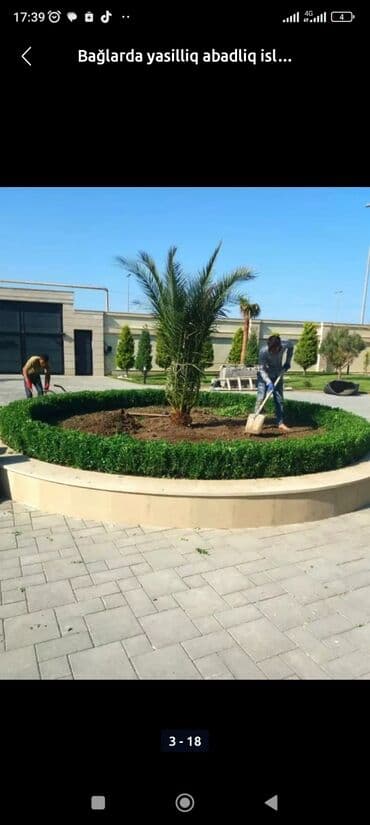 toxum qiymetleri: Villalarda abadliq isi torf satsi gubreler dermanlar torfu 300den cox — 8