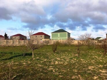 ist petrol tbilisi prospekti: 25 sot, Tikinti, Kupça (Çıxarış) — 2