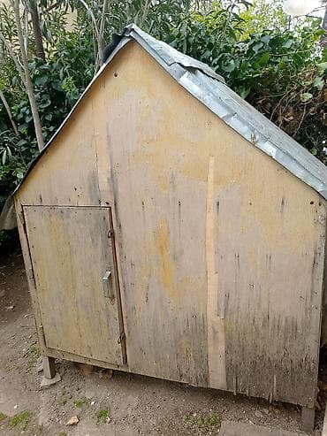 şirin pişikler: Taxta quş yuvası - Material: gövdə – möhkəm faner/taxta, dam – — 2