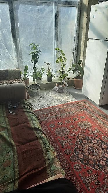 torpaq frezi: 2 otaqlı, 60 kv. m, Kredit yoxdur, Təmirsiz — 6