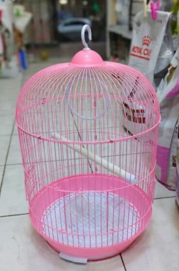 bildirçin satilir 80 qep: Quş qəfəsləri – müxtəlif forma və rənglərdə var.Qiymətlər 15 manatdan — 3