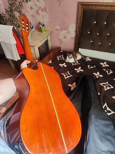 gitara tarnada: Elektro-klasik gitara – kəsikli (cutaway) korpus, 6 sim, yumşaq çexol — 3