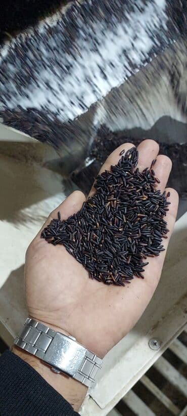 qar gülü: Qara düyü — 3