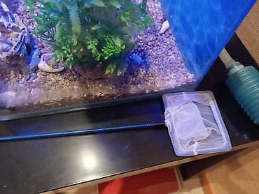 Akvarium dəsti - Şəffaf şüşə akvarium, kub formalı - Yuxarıdan — 4
