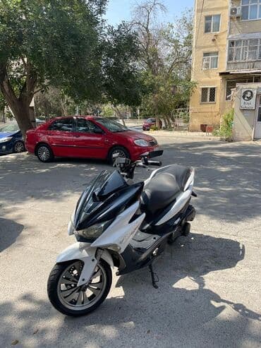 sukutur: - Force, 150 sm3, 2024 il, 8000 km — 1