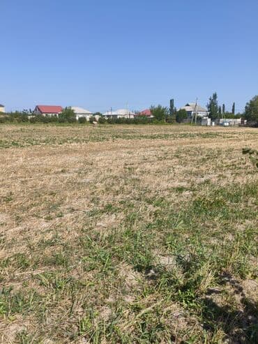 дачные земельные участки: Kənd təsərrüfatı — 6