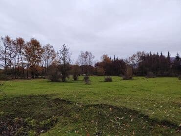 аренда земельных участков сельскохозяйственного назначения: Kənd təsərrüfatı — 9