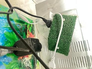 akva ayaqabılar: Balıq və su tısbağası üçün mini akvarium seti - Şüşə akvarium — 1