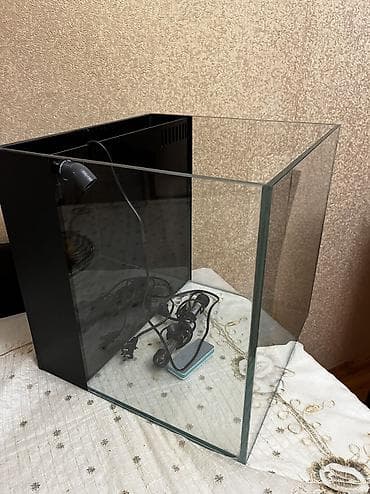 Аквариумы: Hazir Okean akvariumu satilir 40x40 a samp sistemidi motoru ustundedi — 4