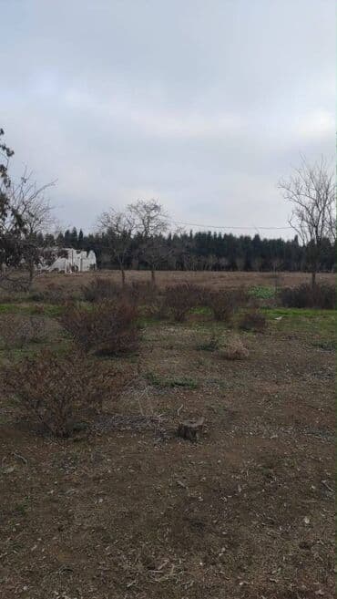 türkanda bağ evi satılır: 34 соток, Для строительства, Собственник, Купчая — 3