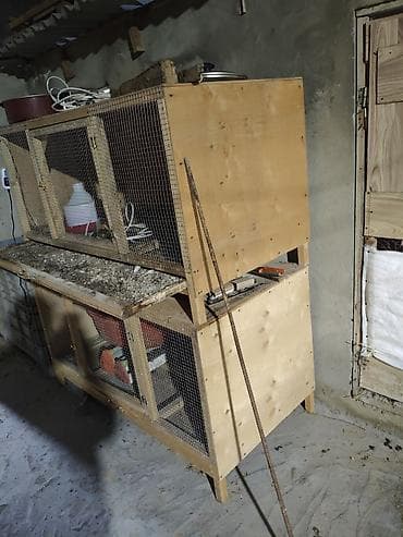 qəfəslər: İki mərtəbəli taxta qəfəs – quş və ya kiçik heyvan saxlanışı üçün - — 3