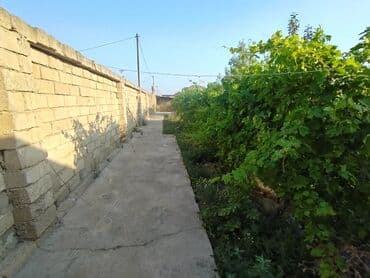 binə qəsəbəsi ats: 25 sot, Tikinti, Kupça (Çıxarış) — 11