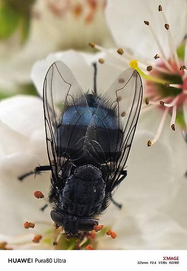 huawei p50 qiyməti: Huawei Pura 70 Ultra, 512 GB, rəng - Qızılı — 8