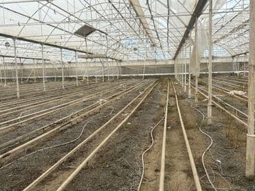 karkaz: Istixana sökülüb satılır materyal kimi metalom deyil — 7