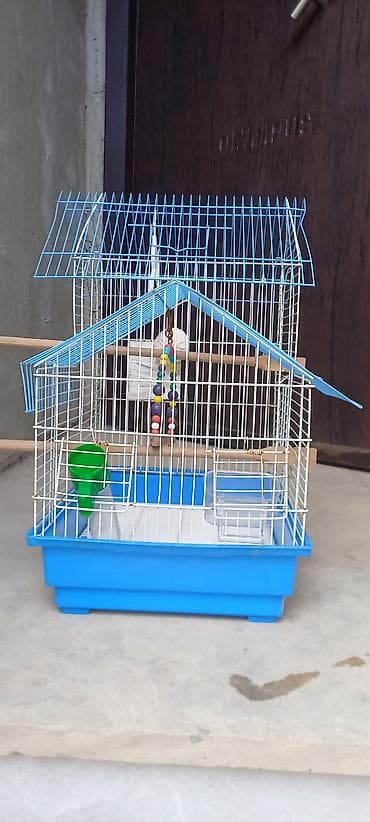 heyvan elanlari: Quş qəfəsi – aksesuarlarla birlikdə - Forma: ev tipli damlı — 2