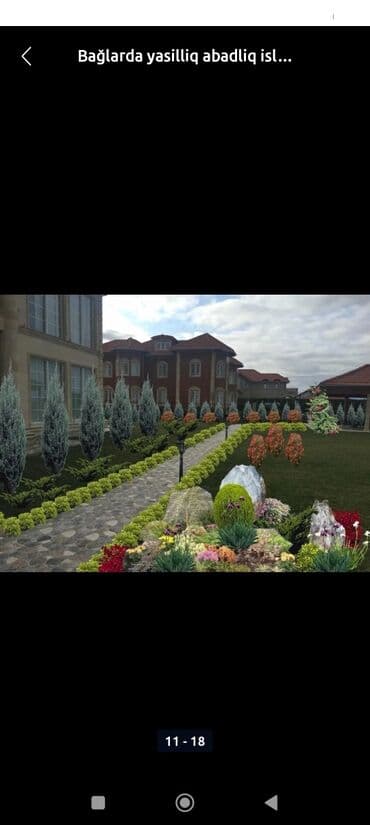 Digər tikinti xidmətləri: Ağaclarin budanmasi dermanlanmasi halaqlarin temizlenmesi qazonn — 15