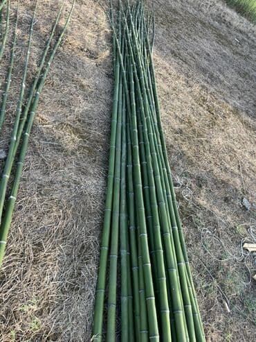 bambuk satisi: Bambuk şüaları – təbii, möhkəm və çoxməqsədli Məhsul təsviri: - — 5