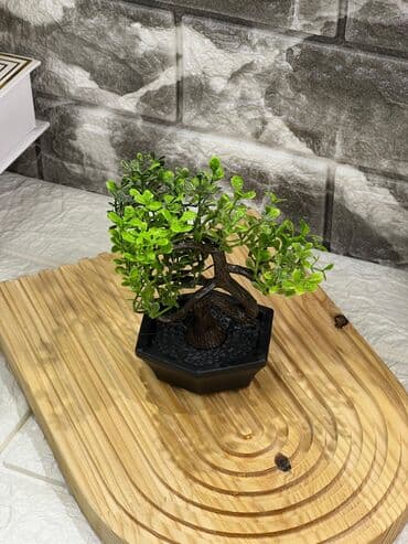 dekor guller: Dekor gül — 3