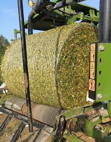 Gargadali Silos packalarda 440 kg geder
Sabirabad rayonu ! lalafo.az -da Gargadali Silos packalarda 440 kg geder
Sabirabad rayonu !