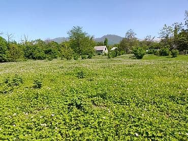 Torpaq sahələrinin satışı: 4 sot, Tikinti — 10
