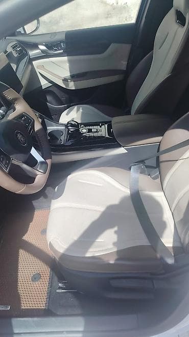 BYD Qin Plus: 1.5 l | 2025 il 16496 km Sedan — 9