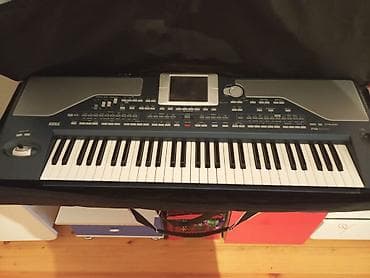 akustik gitara: Sintezator, Korg — 1