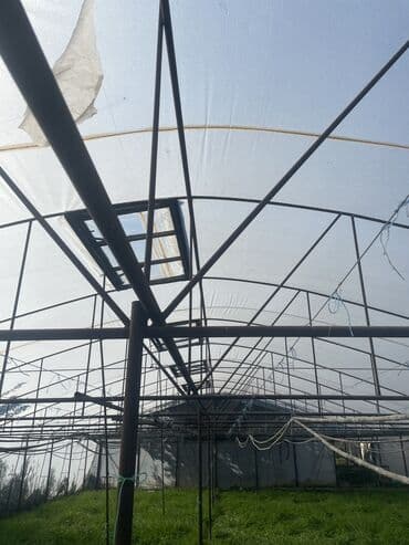 moyka arendaya verilir 2023: İstixana satılır 12 sotdur — 6