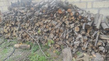 leziz dad qida mmc: Odun – qarışıq ölçülərdə kəsilmiş budaqlar və kötüklər - Təbii sərt — 1