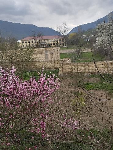 1 sot nece kv metrdir: 14 sot, Makler, Kupça (Çıxarış) — 2