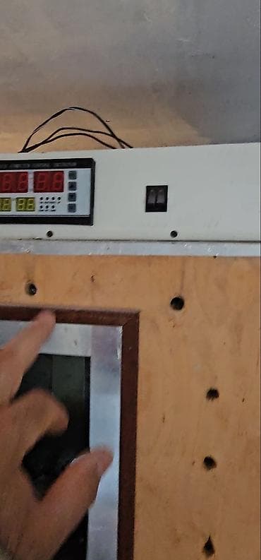 Incubator vivadnoy çüçə çixardmagcin