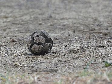 Fotokameralar: Canon PowerShot SX50 HS fotoaparat - 50x optik zum (24–1200 mm ekv. — 8