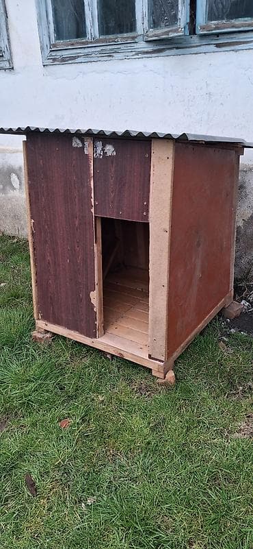 itler pekines: Taxta it evi - Material: taxta,,, möhkəmliyi yüksəy səviyyədə istəyən — 1