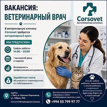 zvanok it satisi tap az: 📢 VAKANSİYA: BAYTAR HƏKİM Corsovet Baytarlıq Klinikası komandasına — 2