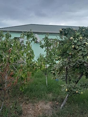 ceyranbatan ev: 97 kv. m, 3 otaqlı — 10