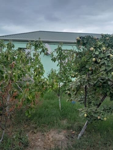 qubada gündəlik kirayə evlər: 3 otaqlı, 97 kv. m, Kredit yoxdur, Yeni təmirli — 5