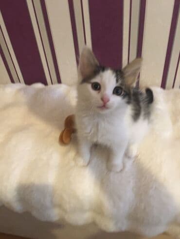 Yaxşı əllərə, Ünvandan götürmə