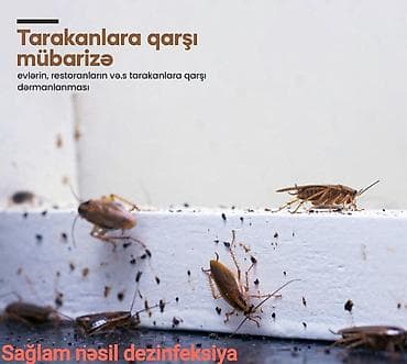 Ремонт техники: Дезинфекция, дезинсекция | Клопы, Блохи, Тараканы | Офисы, Квартиры, Дома — 10