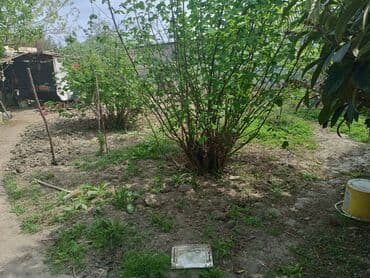 meyve tərəvəz: RT Arxasında körpüdən sağda 2 ci küçədə 2 mərtəbəli 8 otaqlı həyət evi — 39