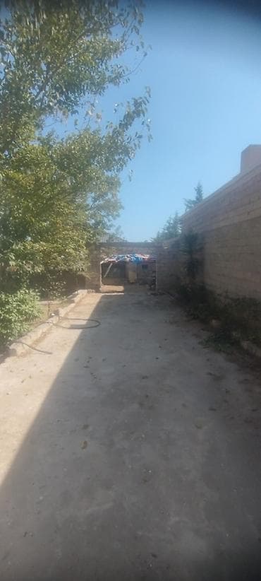 Torpaq: 8 sot, Tikinti, Kupça (Çıxarış) — 9