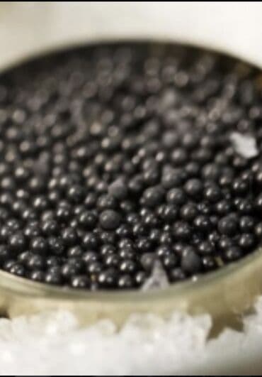 Məhsul: Qara kürü (kaviardan ilhamlanan qida məhsulu) Təsvir: -