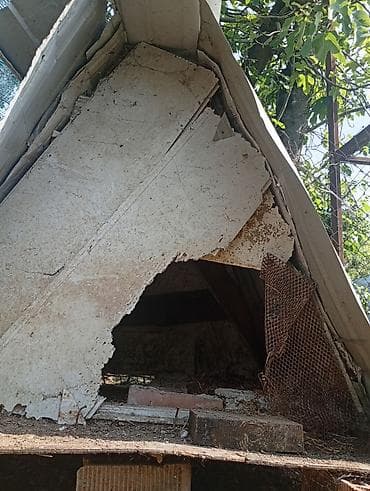 itlerin ucuz qiymete satisi: Salam it yuvası ətrafı dəmirdəndi altı taxtadan 85m çox münasib — 2