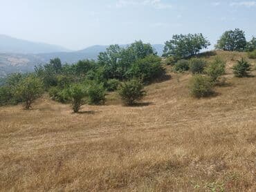 makler gence: 27 sot, Kənd təsərrüfatı, Maklerlər narahat etməsin, Kupça (Çıxarış) — 4