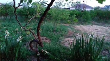 kreditlə evlər: 2 otaqlı, 108 kv. m, Kredit yoxdur, Yeni təmirli — 6