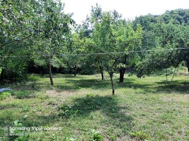 şabran torpaq: 10 sot, Tikinti, Mülkiyyətçi, Kupça (Çıxarış) — 7