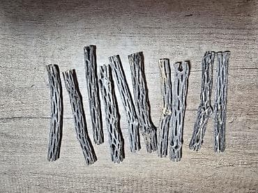 Akvarium dekoru: Cholla wood – qurudulmuş kaktus - Akvarium üçün 100% təbii dekor və — 4