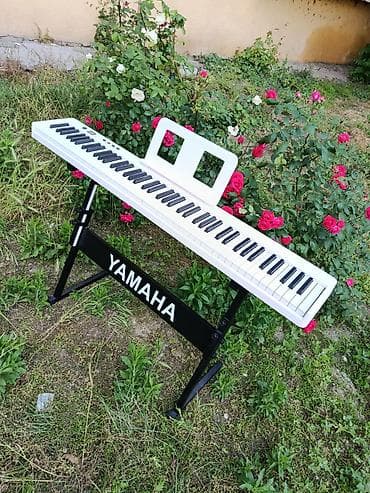 mp3 yüklə: Piano, Rəqəmsal, Yeni, Pulsuz çatdırılma — 4