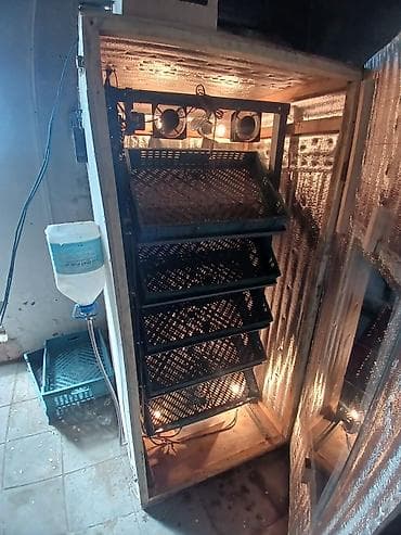 Kənd təssərüfatı avadanlığı: Yumurta inkubatoru – avtomatik idarəetməli, çoxsəviyyəli 520 yumruta — 3